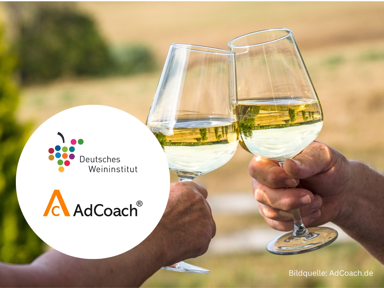 Onlinekurs Eventmanagement – Special Wein-Events. Ein Kooperationsprojekt zwischen AdCoach und dem DWI. (Bildmotiv3 / Collage: AdCoach | adcoach.de)