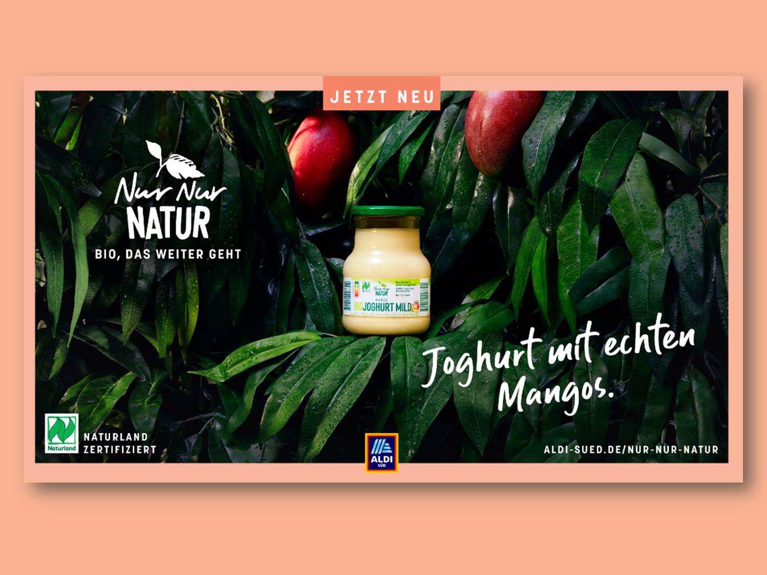 Mango-Motiv der neuen "Nur Nur Natur"-Kampagne von ALDI Süd (Bildrechte: ALDI Süd)