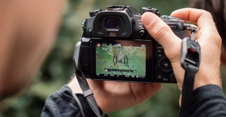 Bild: obs/Panasonic Deutschland | LUMIX Photo Adventure Costa Rica