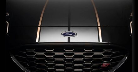 Bild: Fast drei Viertel der Stimmen entfielen auf Puma ST-Stripes (Bildrechte: Ford-Werke GmbH)
