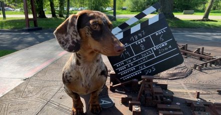 Petfluencer Lotti wird auf dem TikTok-Kanal der Stiftung Zollverein aktiv (Foto: Doreen Scholz/Stiftung Zollverein)