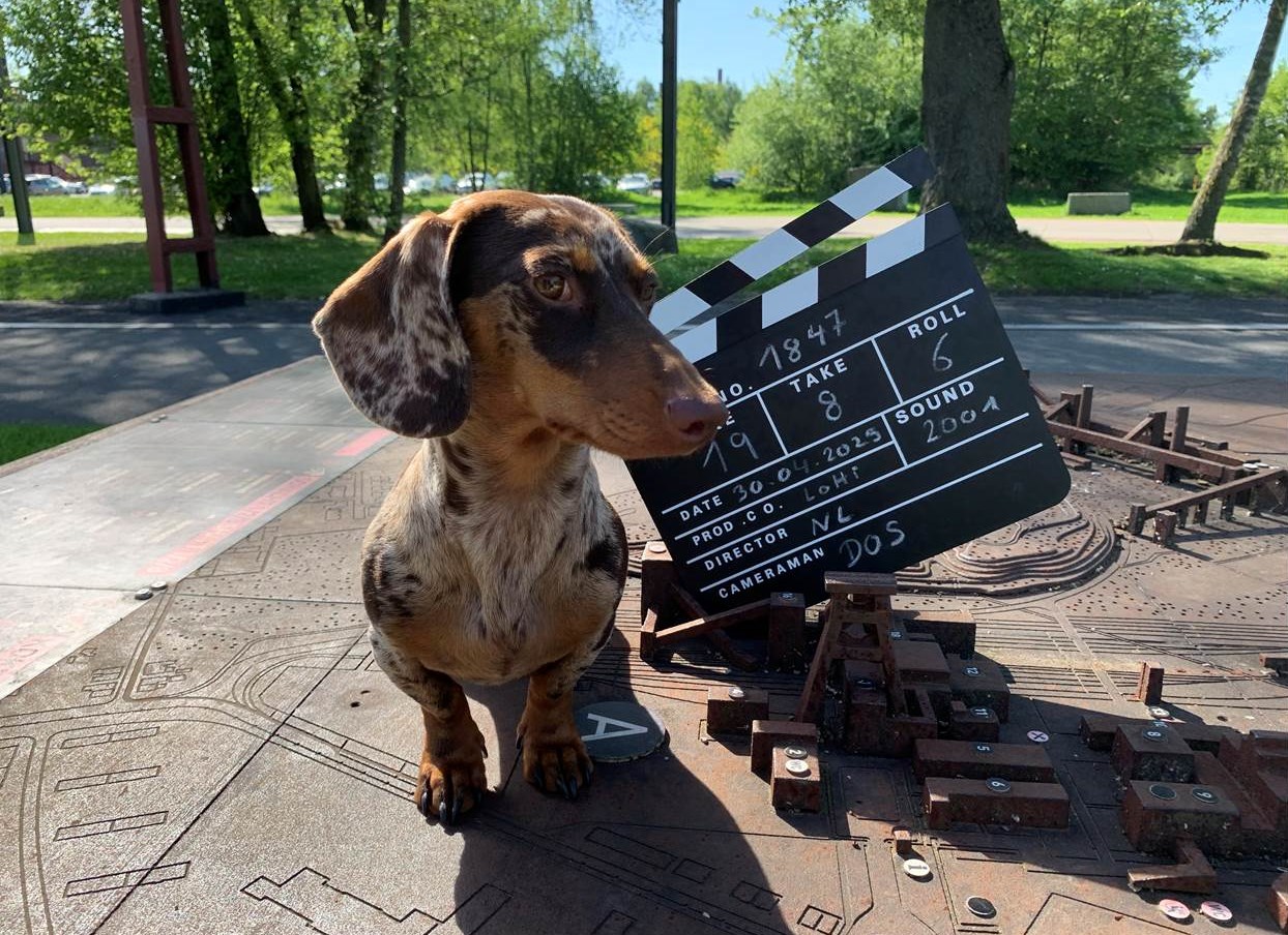 Petfluencer Lotti wird auf dem TikTok-Kanal der Stiftung Zollverein aktiv (Foto: Doreen Scholz/Stiftung Zollverein)
