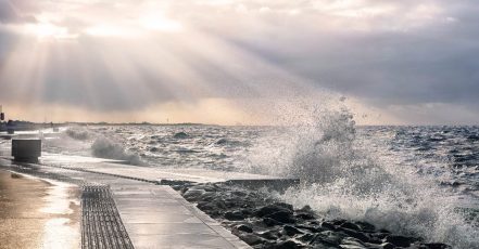 Die Nordsee GmbH - und auch alle Nordsee-Fans - freuen sich über die Eröffnung von "Das Deck"