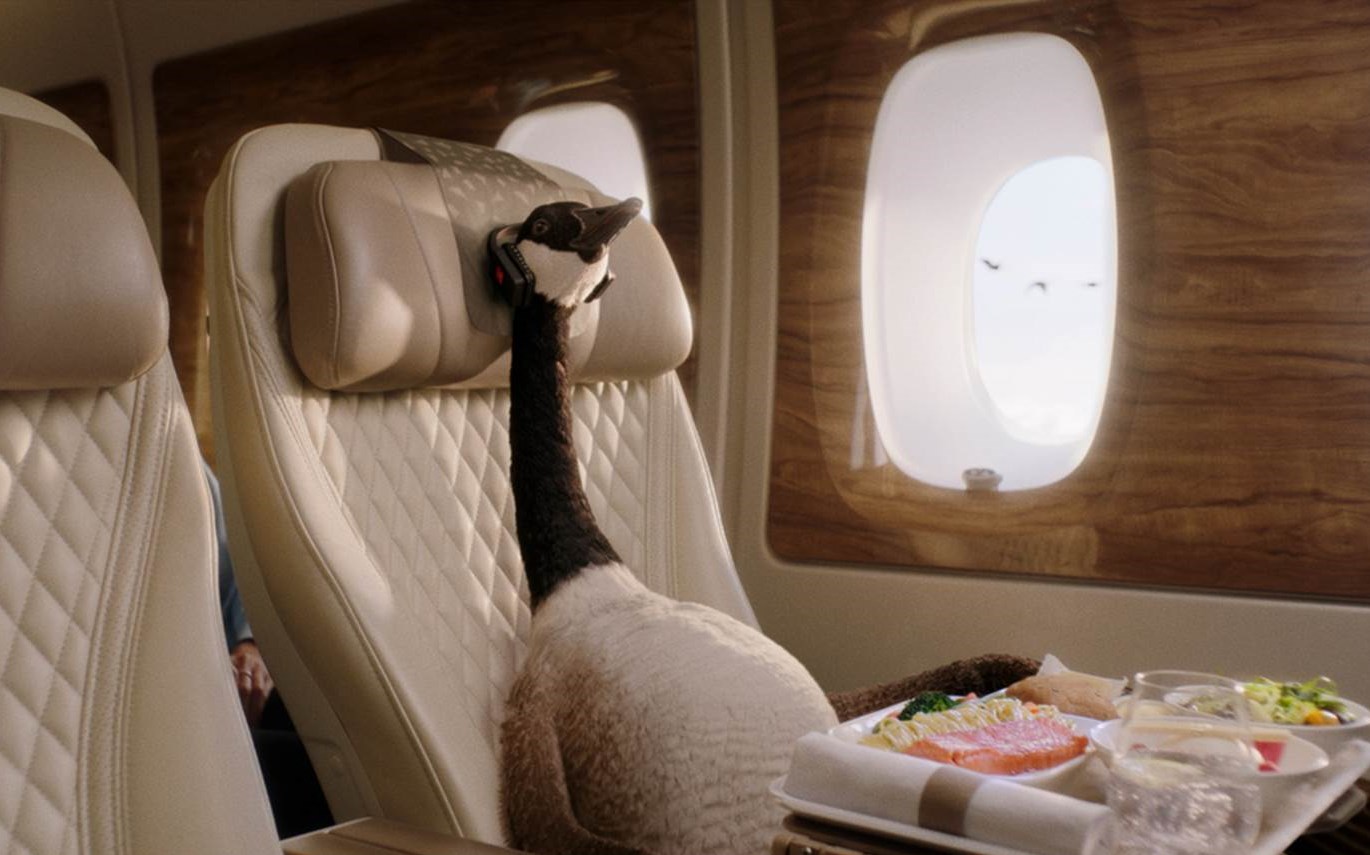 Gerry, der Gänserich, entspannt an Bord von Emirates, während seine Schwarm-Kolleg*innen sich draußen als Selbstflieger abmühen. (Bildrechte: Emirates)