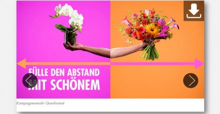 Bild: Kampagnenmotiv #FillTheDistanceWithBeauty (Copyright: Bloemenbureau Holland)