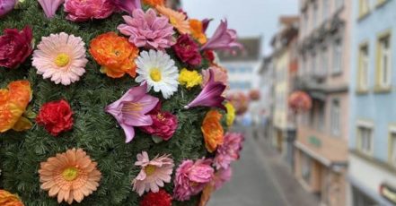 Bild: Einer der 40 bunten Blumenball in Konstanz – die Aktion der Marketing und Tourismus Konstanz GmbH ist noch bis Mitte Juni 2021 zu sehen