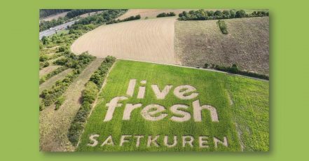 LiveFresh_Feldgrafik_c_FieldAds