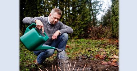 Bild: Michael Stausholm, Gründer und CEO von Sprout World (Bildrechte / Fotograf: Sprout World)
