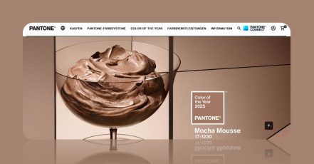 Screenshot v. 17.12.2024 der Website zur Pantone Color of the Year 2025 (Bildrechte: Pantone)