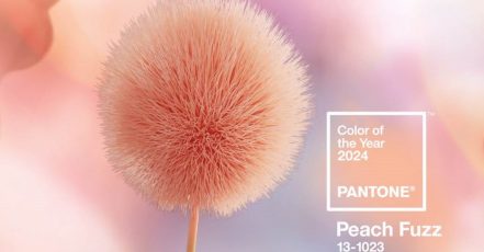 Peach Fuzz - Color of the Year 2024, Pantone Color Institute