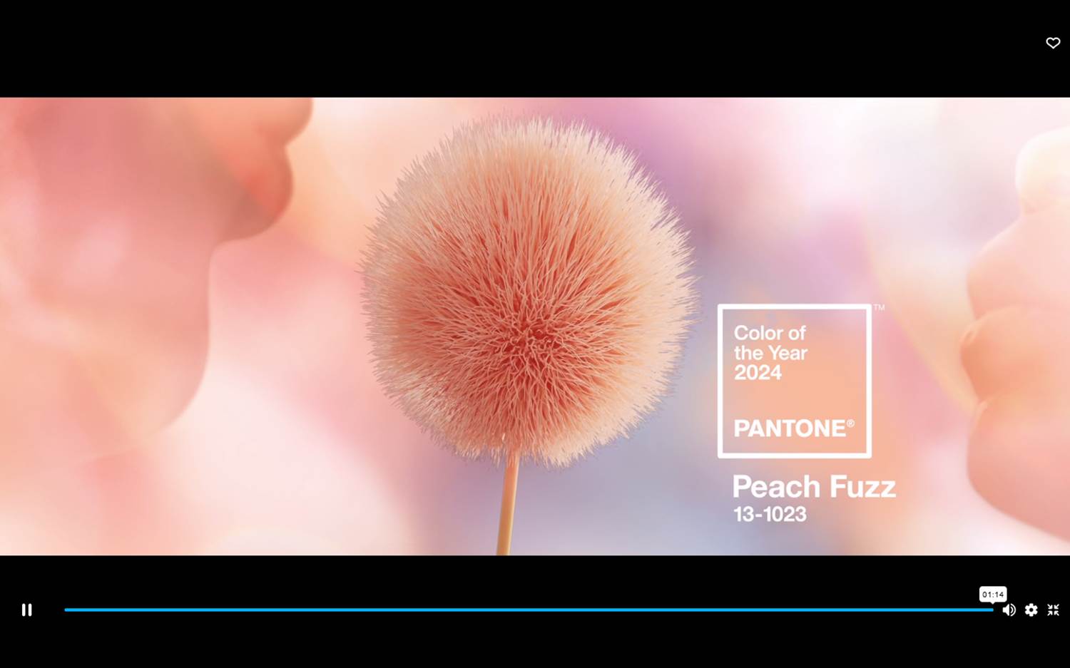 Screenshot v. 16.12.2024 aus dem Video zur Farbe des Jahres 2024 – Color of the Year 2024 Peach Fuzz 13-1023, Pantone Color Institute