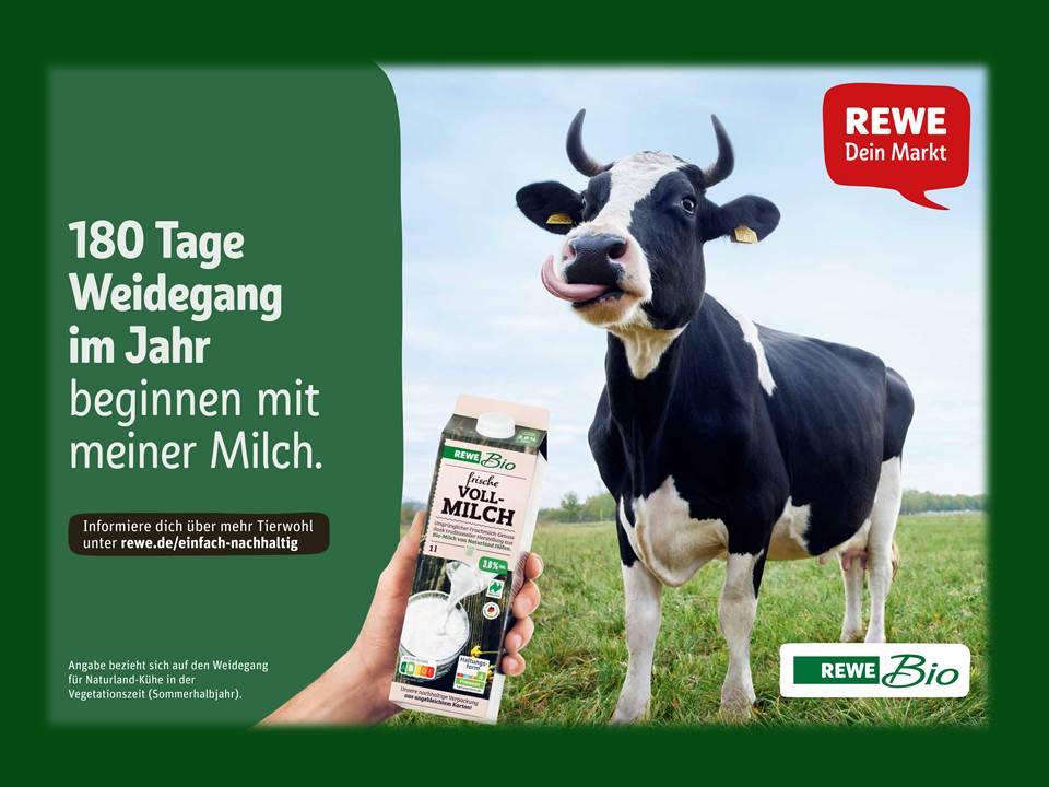 Bild: REWE Nachhaltigkeits-Kampagne liefert Motivation zum bewusste(re)n Einkaufen_Kampagnen-Motiv "Milch" (Copyrights: REWE Markt GmbH, Köln)