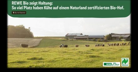 Screenshot aus dem REWE Kuhweide-Video. Dank REWE und Ströer kann man am 09. Oktober 2021 an hochfrequentierten Standorten in deutschen Städten auf ca. 6.000 OoH-Screens um die Mittagszeit (jeweils 12 Uhr und 13 Uhr) fünf Minuten lang Kühen beim Weiden zusehen.