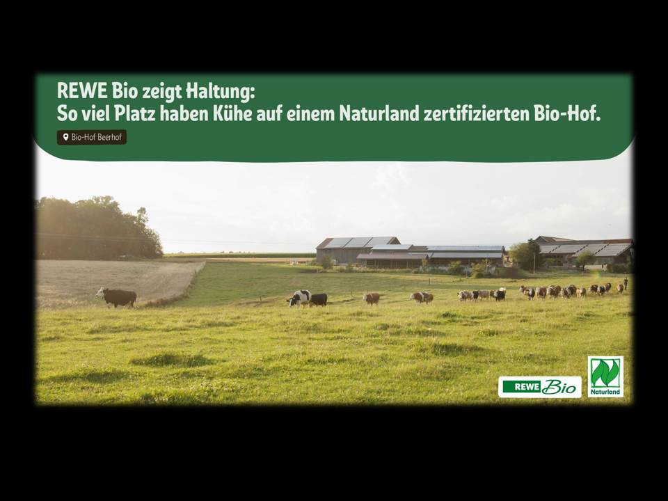 Screenshot aus dem REWE Kuhweide-Video. Dank REWE und Ströer kann man am 09. Oktober 2021  an hochfrequentierten Standorten in deutschen Städten auf ca. 6.000 OoH-Screens um die Mittagszeit (jeweils 12 Uhr und 13 Uhr) fünf Minuten lang Kühen beim Weiden zusehen.