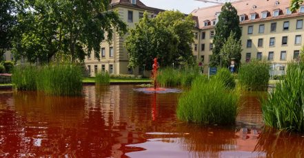 Der rot eingefärbte Teich vor dem Universitätsklinikum Freiburg ist eine Erinnerung an den Weltblutspendetag und die Bedeutung von Blutspenden. (Bildquelle: Universitätsklinikum Freiburg)