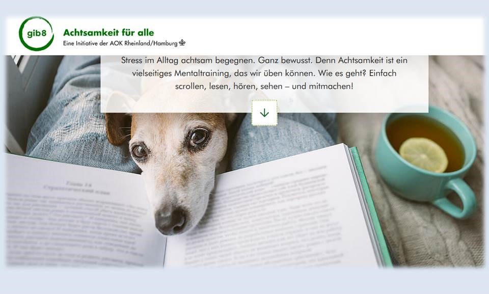 Titelbild: Screenshot der neuen AOK Gib8-Achtsamkeit-Website mit Tipps für ein dauerhaft entspannteres, positives Leben