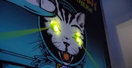 Youtube_Screenshot_Video_Laser_Cat | gewista.at