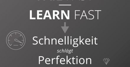 Grafik: Studie "Schnelligkeit schlägt Perfektion" (Intershop Communications AG)