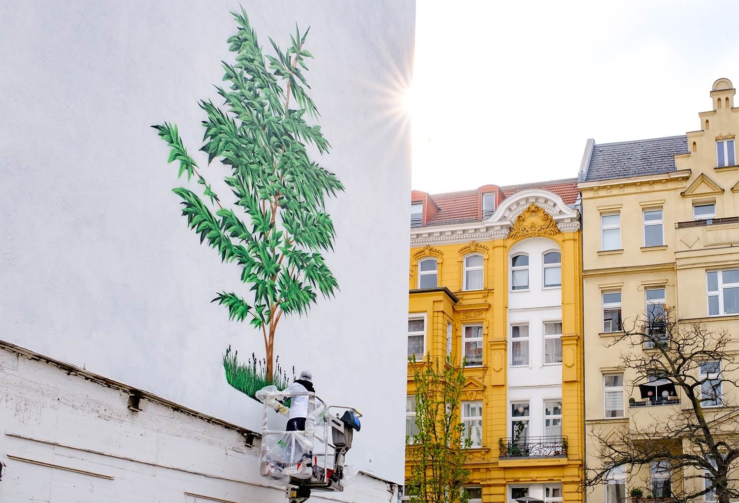Treedom Projekt "We grow trees". Ein Baum-Mural wächst in der Wexstraße 34, Berlin Wilmersdorf, in die Höhe.