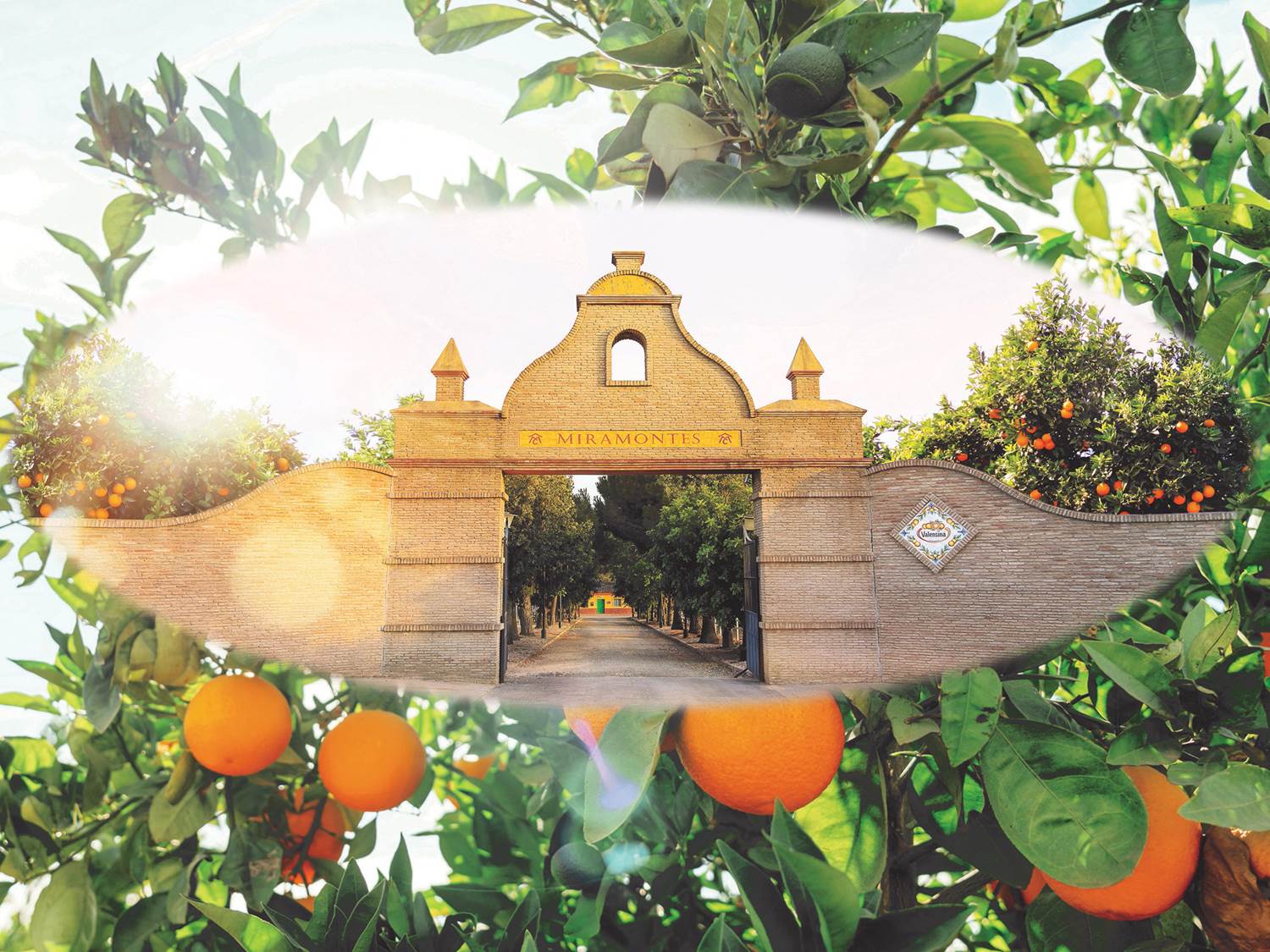 Das imposante Tor des Valensina "House of Sun", das inmitten spanischer Orangen-Haine liegt