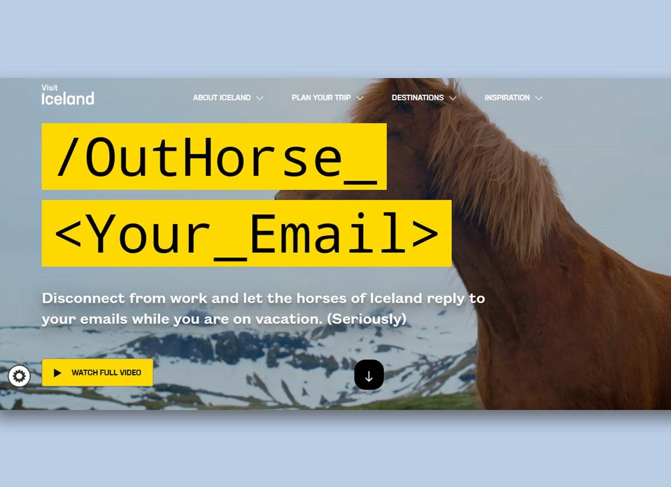 visiticeland.com – Outhorsing statt Outsourcing – E-Mail-freier Urlaub dank tierischem Antwort-Service