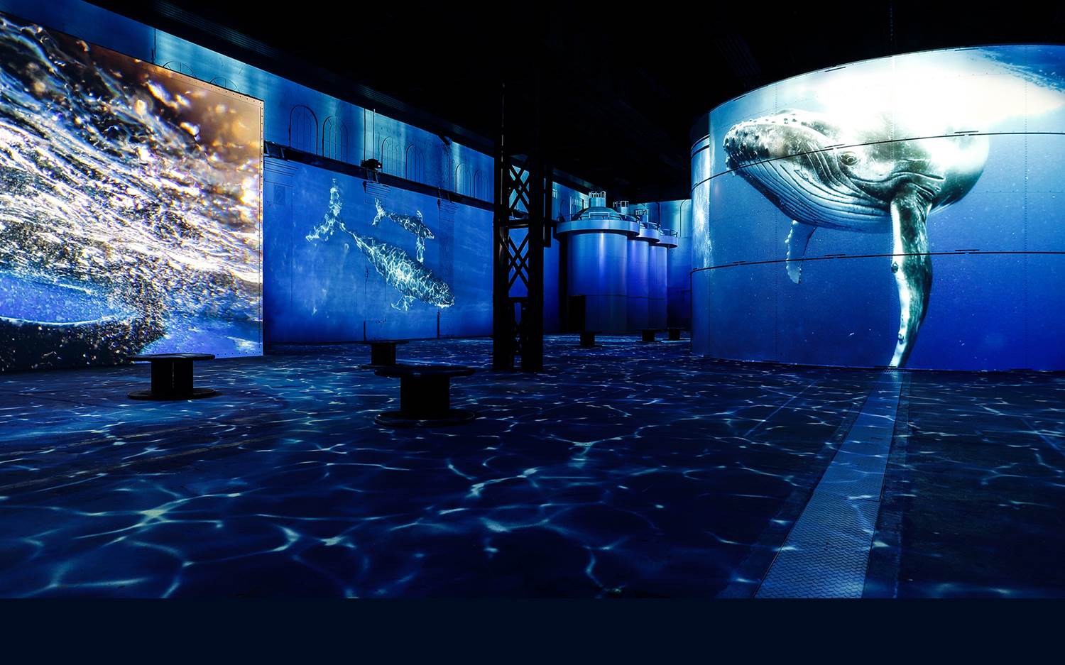 Key Visual des immersiven Kunsterlebnisses Wunderwelt Ozeane - Phoenix des Lumières, Dortmund (Bildrechte: Culturespaces / Falko Wübbecke)