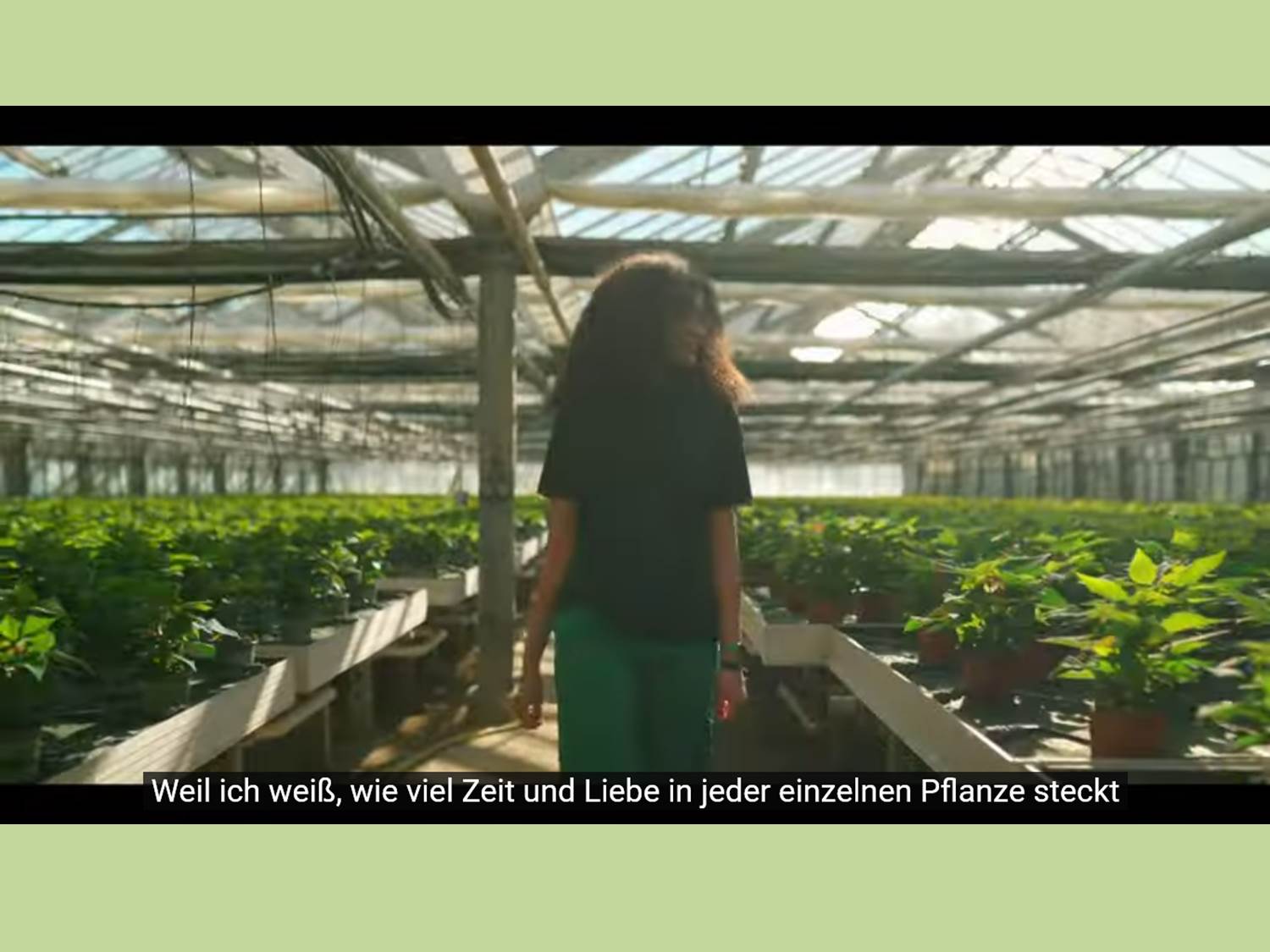 Bild: Screenshot aus dem ZVG Recruiting-Video auf Youtube