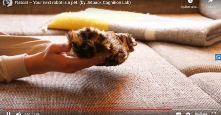 Crazy stuff: Flatcat im Video auf Youtube (by Jetpack Cognition Lab)