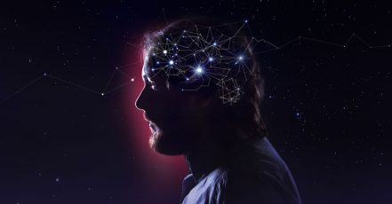Your Brain on Premium Content | Bild: Teads